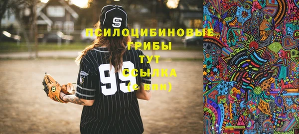 гидра Балабаново