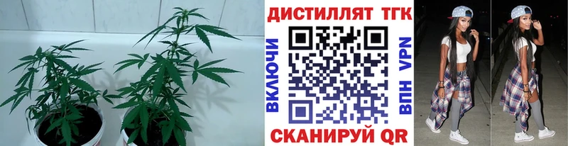 купить  цена  Белозерск  ТГК жижа 