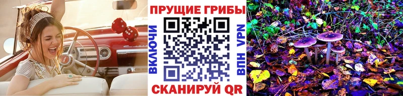 дарнет шоп  Белозерск  Псилоцибиновые грибы прущие грибы 